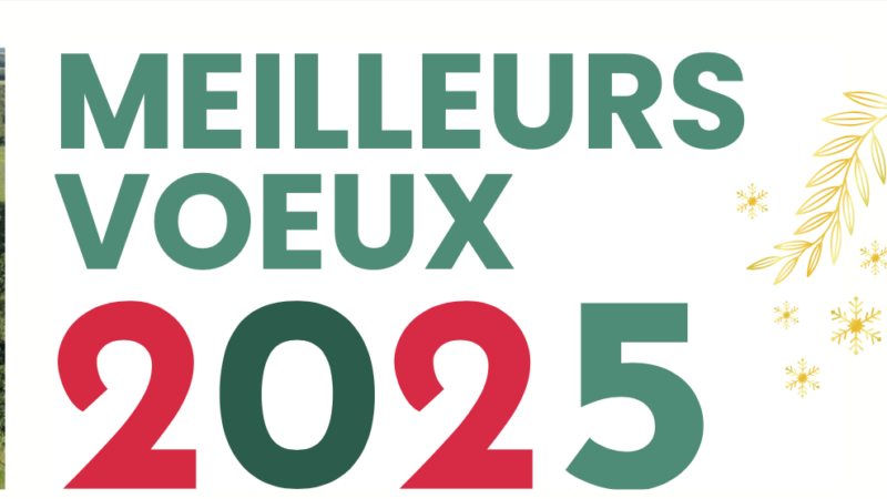 BONNES FÊTES DE FIN D’ANNÉE 2024 !